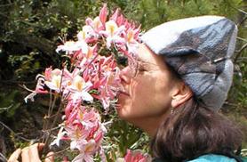 agnesbakerpilgrim.org